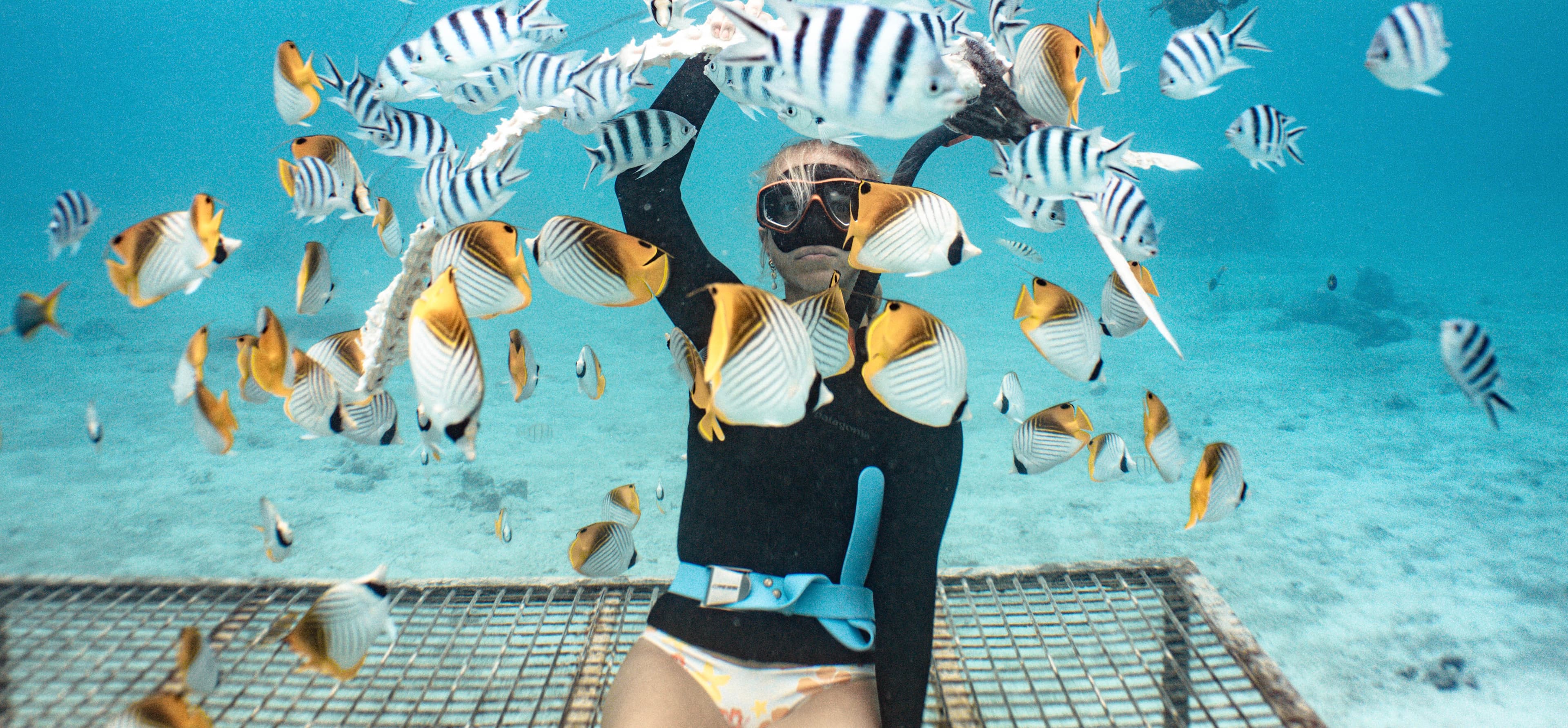 Freediving on the North Shore