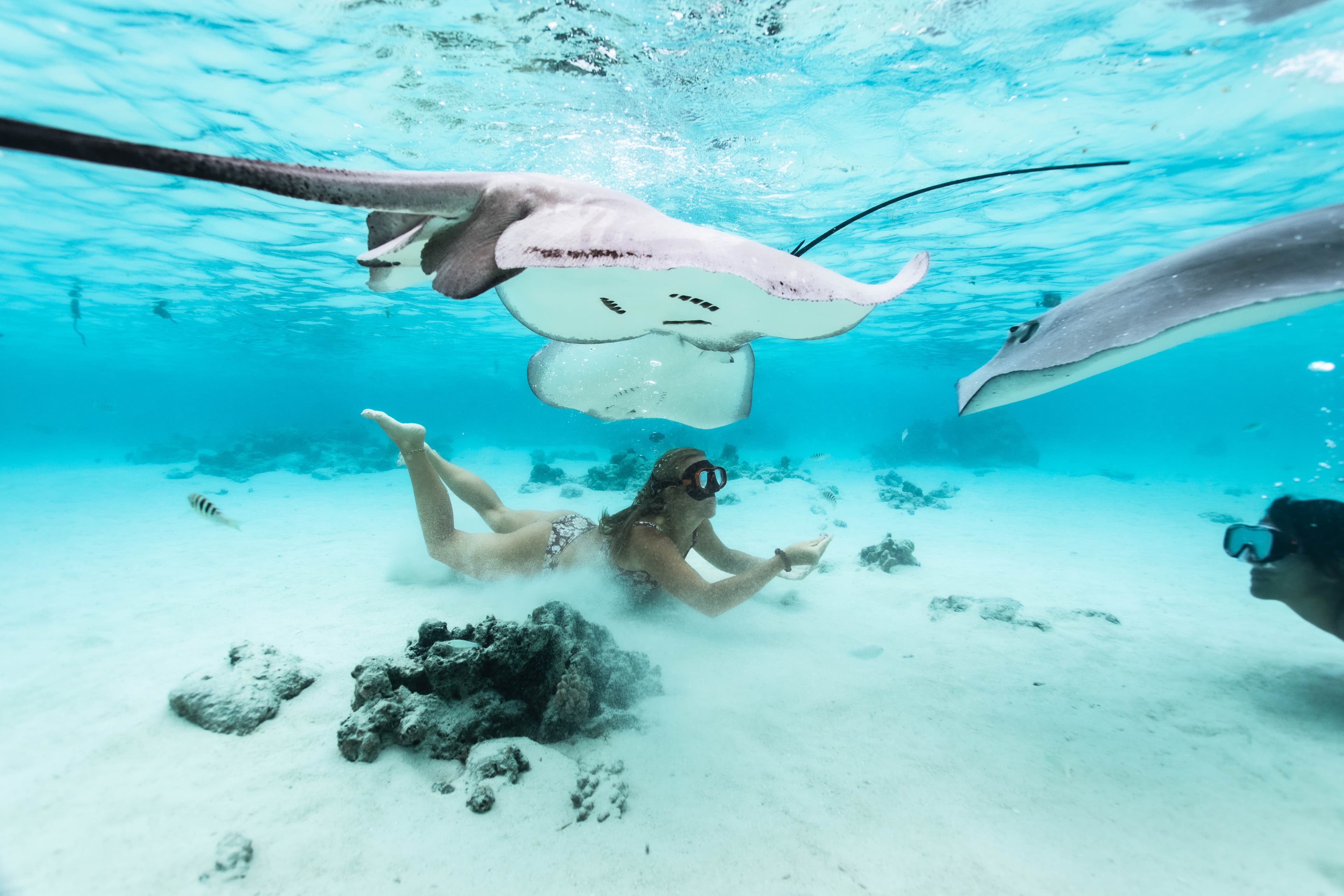 Swimming and freediving on the North Shore